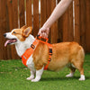Vest-Style Dog Harness with Round Leash