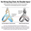 Y-Shaped Dog Harness for Small to Medium Dogs