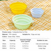Collapsible Travel Bowl for Dogs and Cats