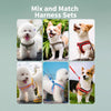 Small Dog Vest Harness for Everyday Walks
