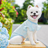 Lightweight Lace-Sleeve Pet Shirt for Cats and Dogs