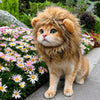 Animal-Themed Costume Hats for Small Cats and Dogs