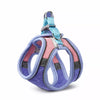 Adjustable Vest-Style Cat Harness with Flat Leash