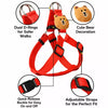Adjustable Dog Harness Vest