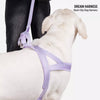 Nylon Dog Harness for Everyday Walks