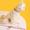 Rhinestone Faux Leather Pet Collar & Leash for Small Dogs & Cats