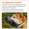Soft Plastic Dog Muzzle with Breathable Mesh