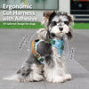 Dog Vest Harness and Leash