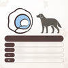 Elizabethan Cone Collar for Dogs, Plastic Design