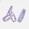 Nylon Dog Harness for Everyday Walks