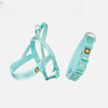 Nylon Dog Harness for Everyday Walks