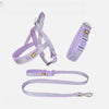 Nylon Dog Harness for Everyday Walks
