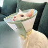 Lightweight Pet Elizabethan Collar
