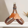 Vest-Style Dog Harness and Leash for Small to Medium Dogs