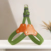 Vest-Style Dog Harness and Leash for Small to Medium Dogs