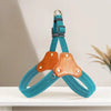 Vest-Style Dog Harness and Leash for Small to Medium Dogs
