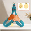 Vest-Style Dog Harness and Leash for Small to Medium Dogs