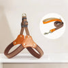 Vest-Style Dog Harness and Leash for Small to Medium Dogs