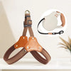 Vest-Style Dog Harness and Leash for Small to Medium Dogs