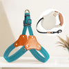 Vest-Style Dog Harness and Leash for Small to Medium Dogs