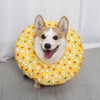 Soft Waterproof Recovery Collar for Dogs