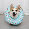 Soft Waterproof Recovery Collar for Dogs