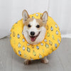Soft Waterproof Recovery Collar for Dogs