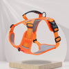 Vest-Style Dog Harness with Round Leash
