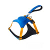 Nylon Dog Harness and Leash Set