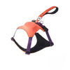 Nylon Dog Harness and Leash Set