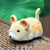 Interactive Electronic Mouse Cat Toy with Sound