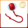 Automatic Cat Toy Ball with Teaser String, 3 Play Modes