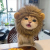 Animal-Themed Costume Hats for Small Cats and Dogs