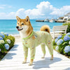 Mesh Four-Leg Dog Outfit