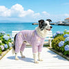 Mesh Four-Leg Dog Outfit
