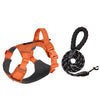 Adjustable Nylon Dog Harness with Leash