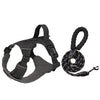 Adjustable Nylon Dog Harness with Leash