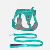 Lightweight Nylon Dog Harness and Leash Set