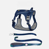 Lightweight Nylon Dog Harness and Leash Set