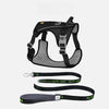 Lightweight Nylon Dog Harness and Leash Set
