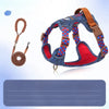 Adjustable Polyester Dog Harness for Everyday Walks | Moggold